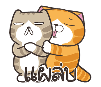 ลายที่ 41