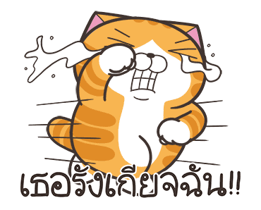 ลายที่ 43