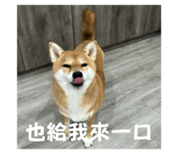 719017775