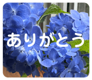 719025321