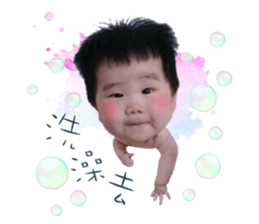 71902681