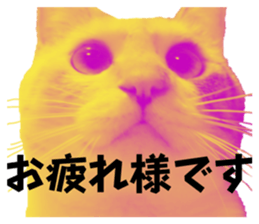 719045304