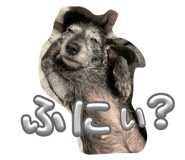 719113712