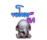 719115803