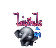 719115822