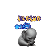 719115828