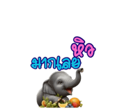 719115829