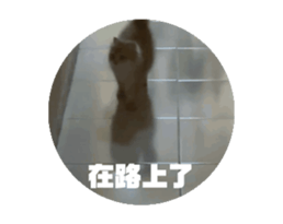 719176345