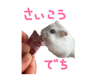 719185896