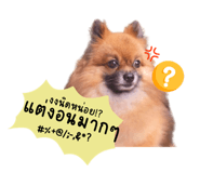 719223864