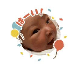 719225294