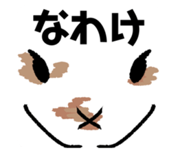 719241902