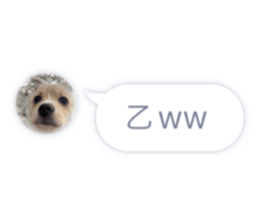 719277787