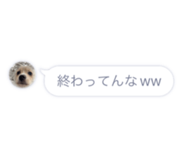 719277791