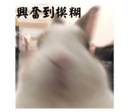 719315698
