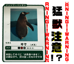 719393803