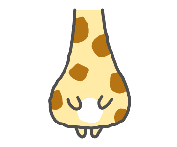 ลายที่ 5