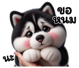 719464537