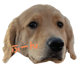 719501754