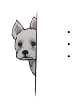 719513