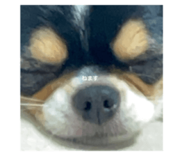 719527953