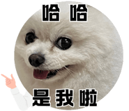 719533008