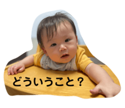 719533156