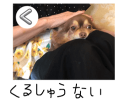 719546488