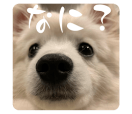 719567188