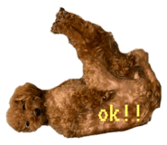 719573432