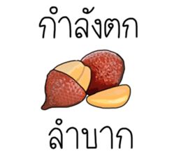 เติมคำตลกๆ รูปที่ 9