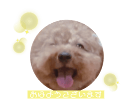 719628922