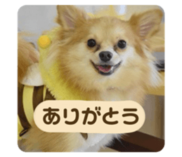 719693567