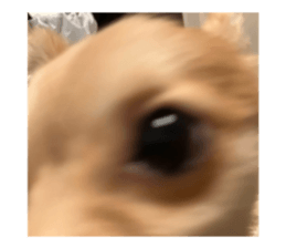 719693588