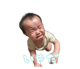 719717116