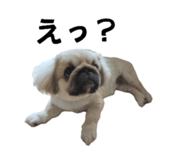 719764116