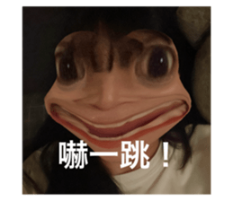 719804020