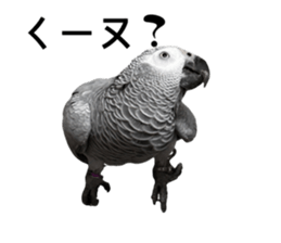 719808877