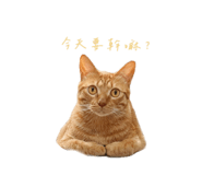 719816577