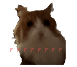 719881430