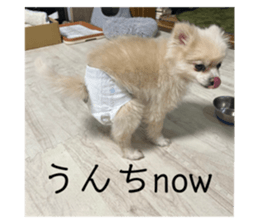 719920626