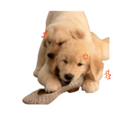 ลายที่ 1