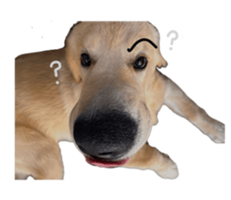 ลายที่ 3