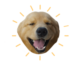 ลายที่ 7