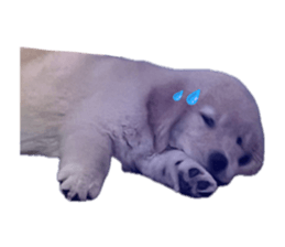 ลายที่ 9