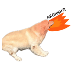 ลายที่ 11