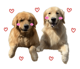 ลายที่ 13