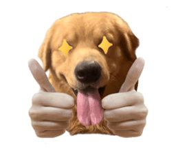 ลายที่ 19