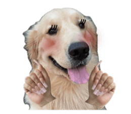 ลายที่ 21