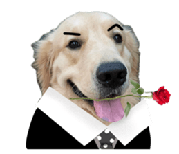 ลายที่ 23